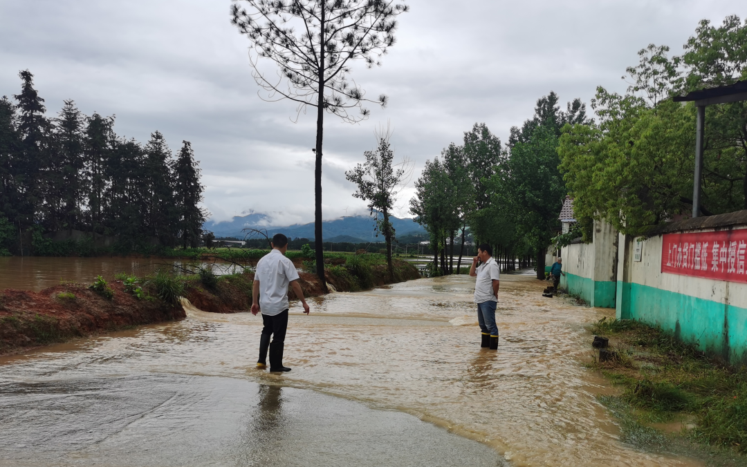 吉安公司：冒雨勘察積水路況 守護市民安全出行